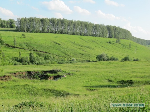 И эти люди мне запрещают ковыряться в земле!