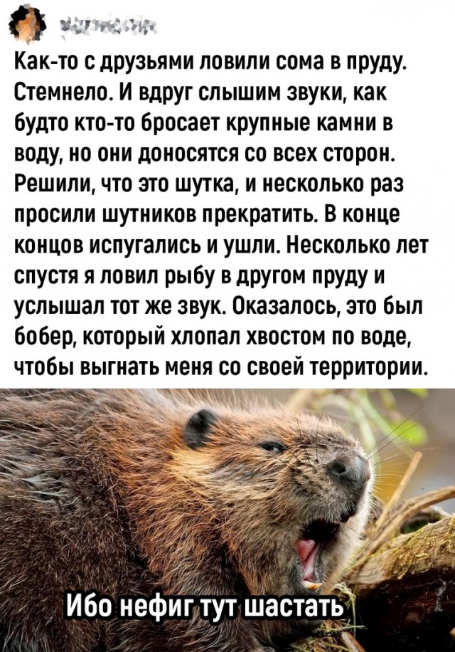 Так себе картинки 15.07.24