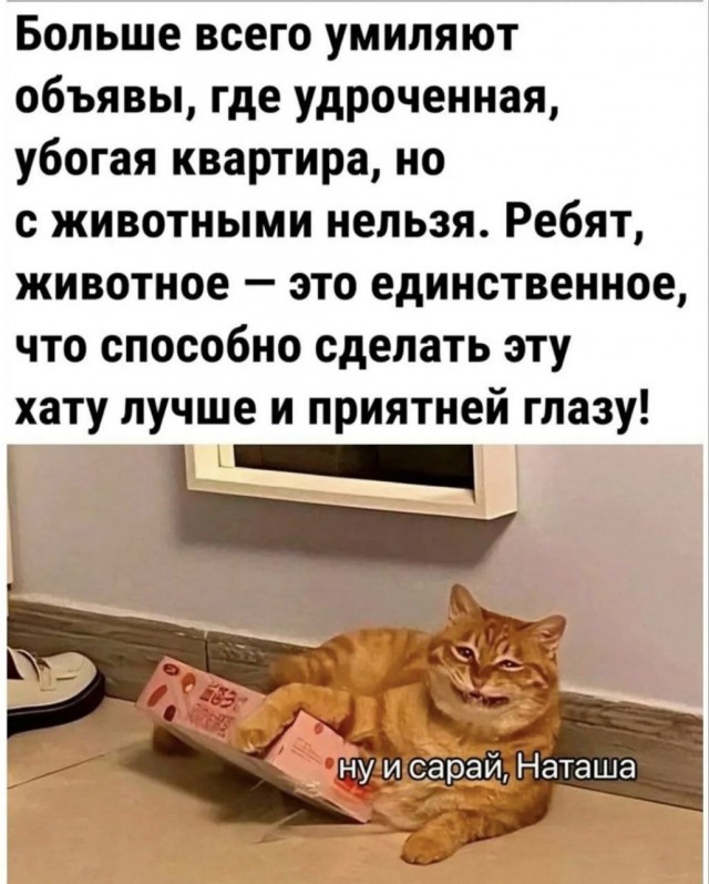 Сборник бабаянов или неожиданная помойка от Неждалигады