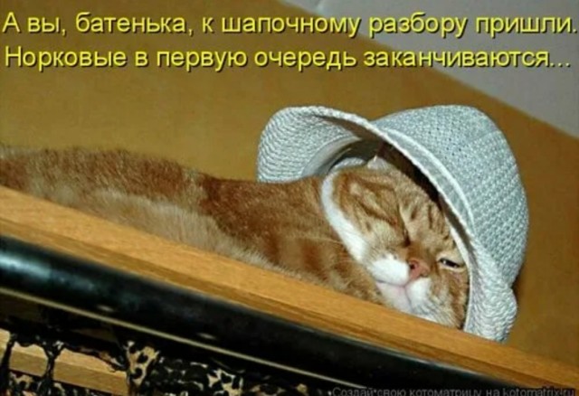 Роман с шапкой