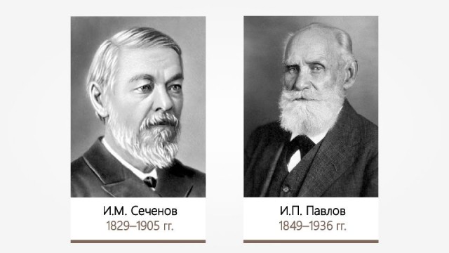 Жирные люди, извините