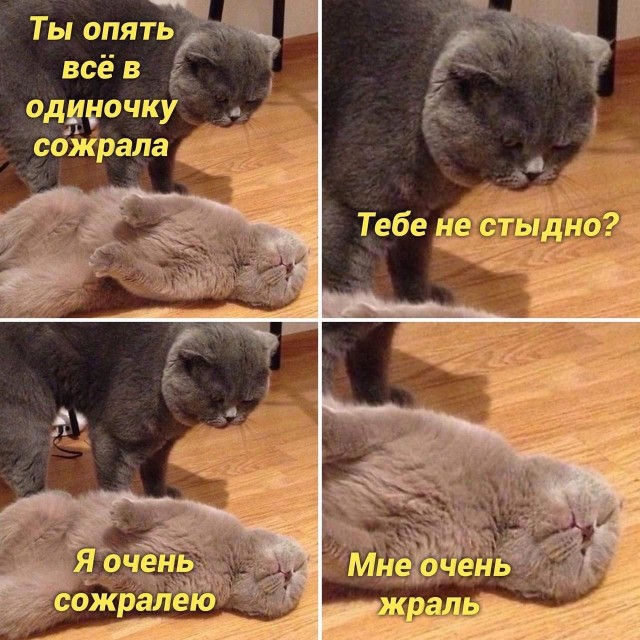 Завалялось тут случайно немного забавных картинок
