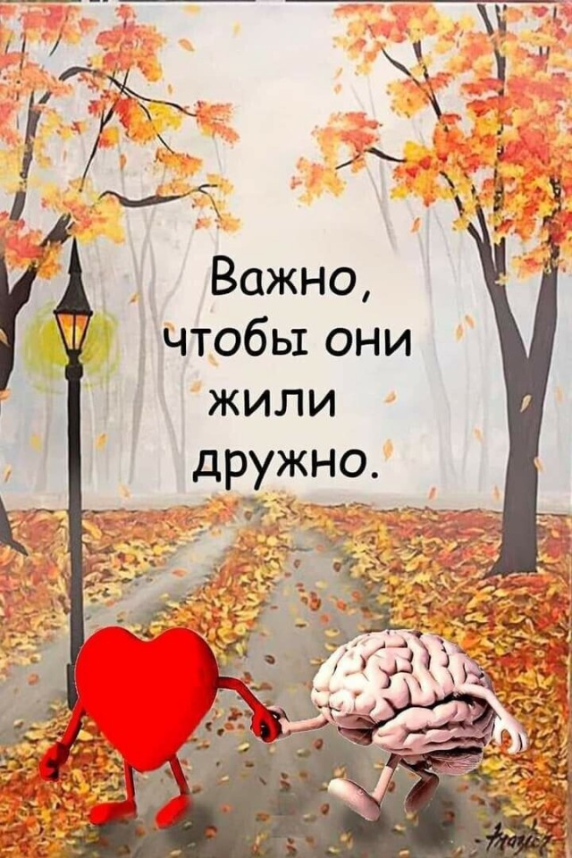 Прикольные и просто красивые картинки 21.03.2025