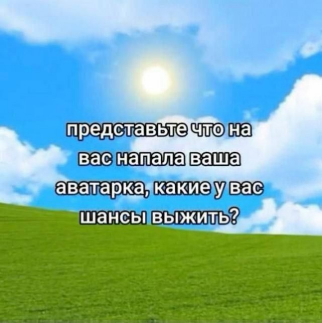 Юмор в буквах за день и шесть ног