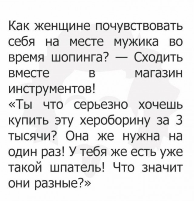 Веселые картинки в пятницу (06.06)