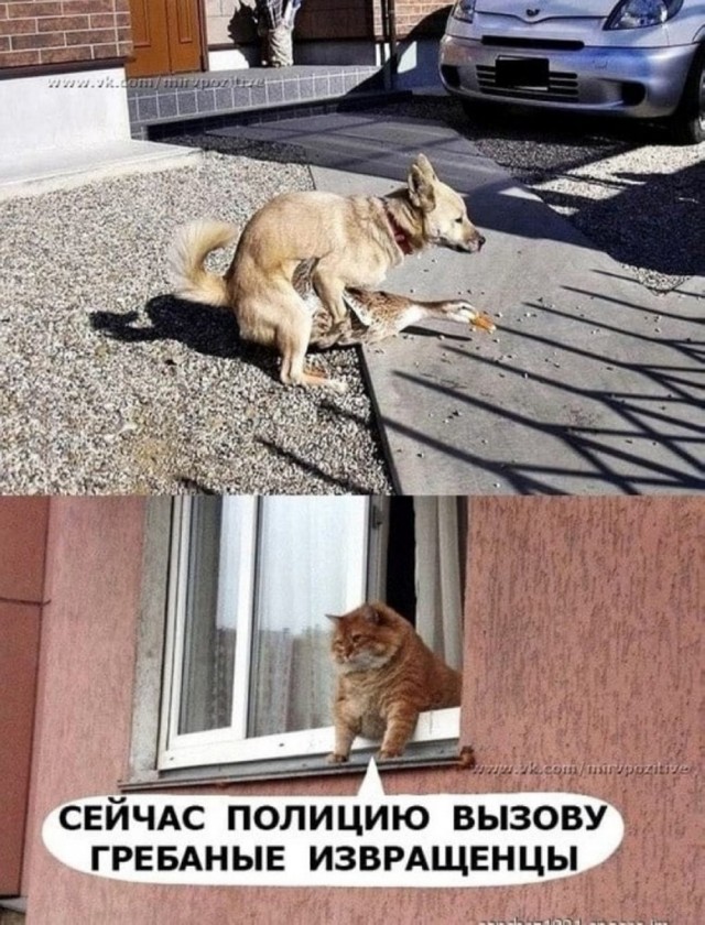 А не забыли ли мы все...