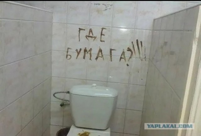 Россиян планируют обучать правильному пользованию туалетом через «Госуслуги»