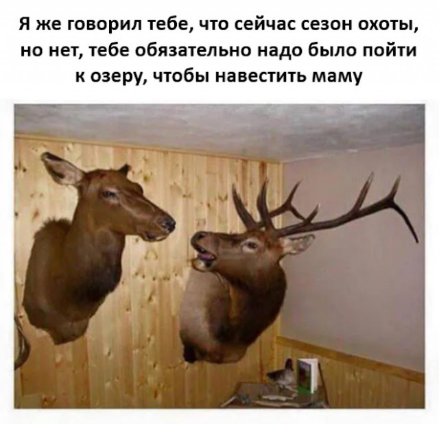 Картиночки, баянчики..