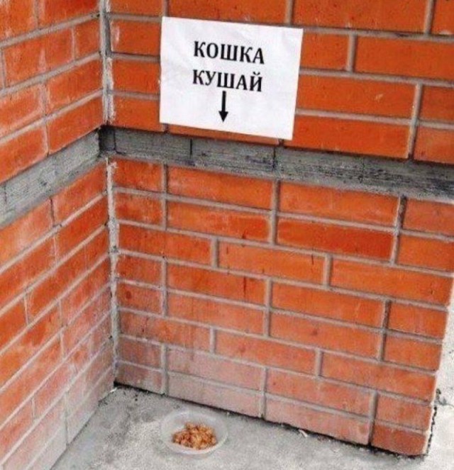 Пятничные картинки