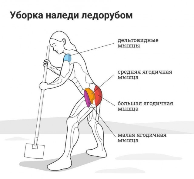 Плюсы от Фрэнсиса