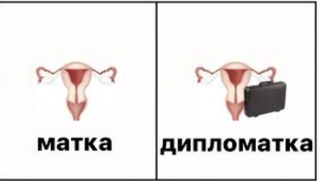 Знакомьтесь,это самый опасный тигр в Индии,настоящий убийца - Четка Матка