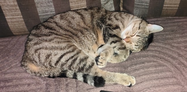 Степан .