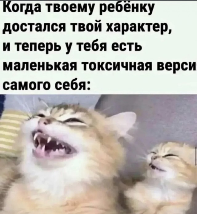 Субботние картинки