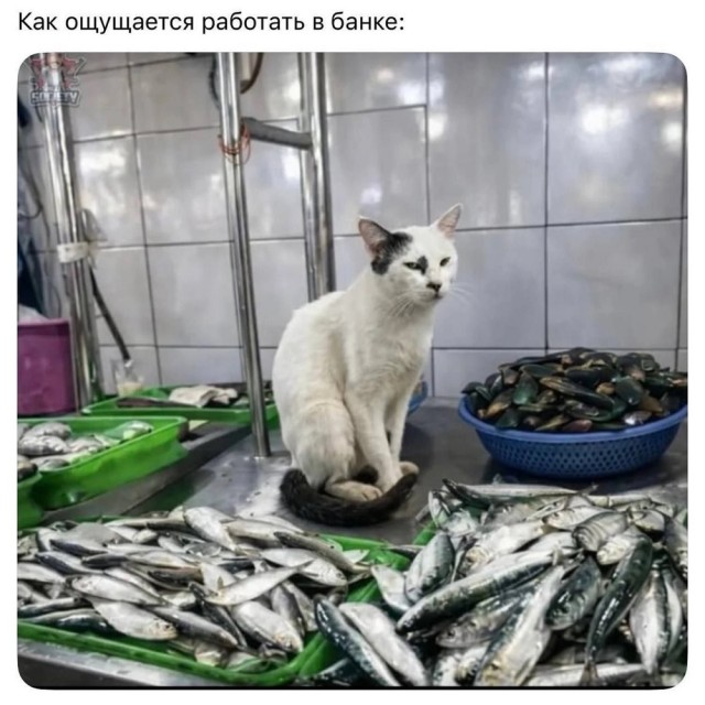 Вторника картинки