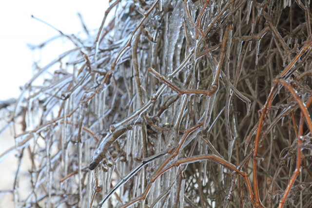 Ледяной дождь 03.05.24 (Лен.обл)