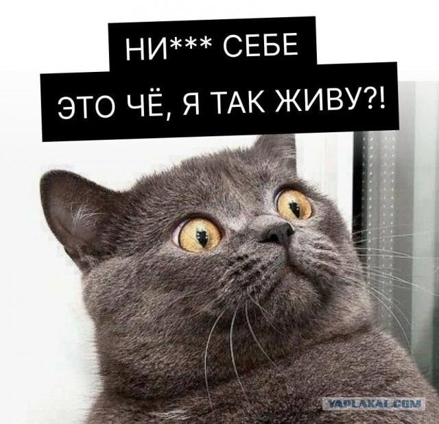 Бизнесмены удивились призыву главы Минэкономразвития  Решетникова снова повышать зарплаты