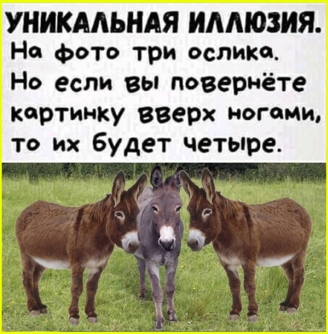 Пятничные тРРРидцать тРРРи от 29 мая