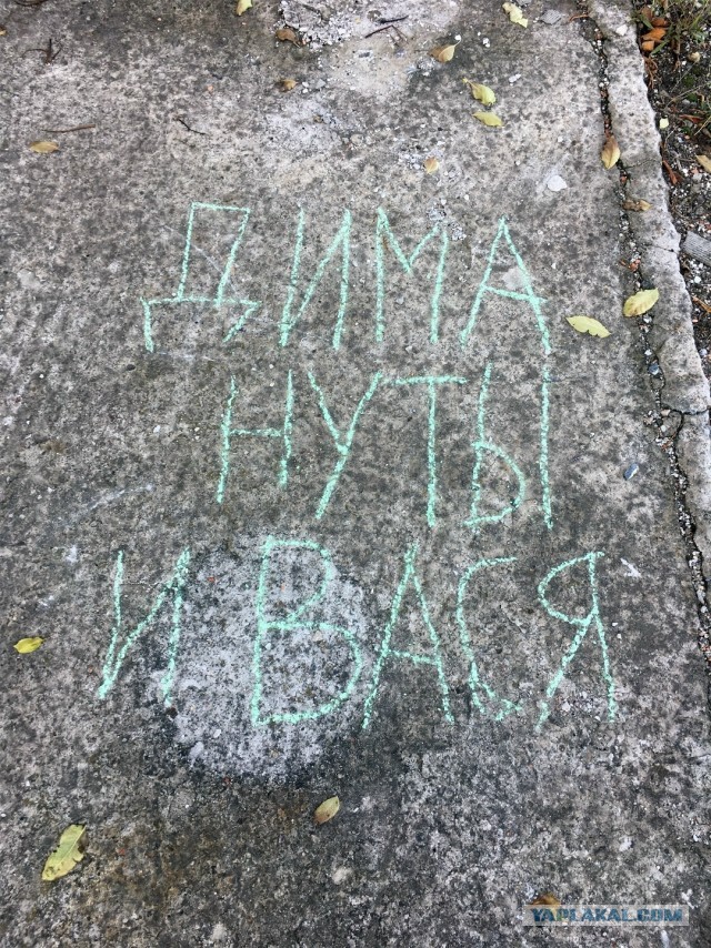 Это Дима