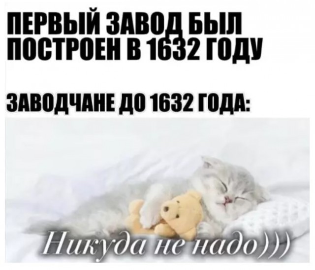 Картиночки, баянчики 27 июня