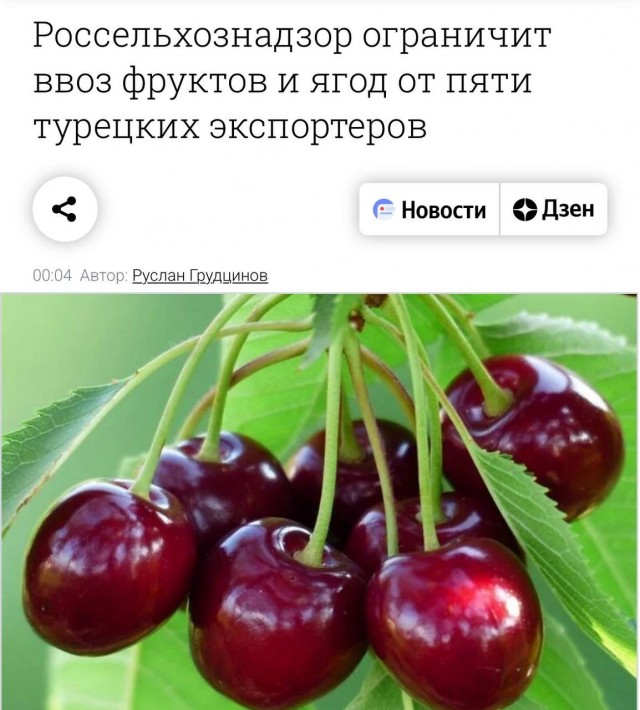 Россия ограничит ввоз фруктов и ягод из Турции