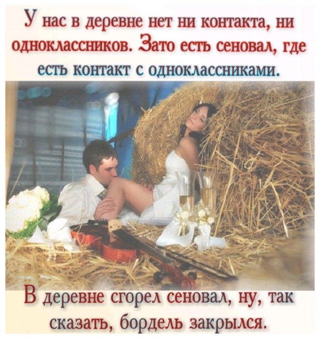 Прикольные и просто красивые картинки 14.08.2026