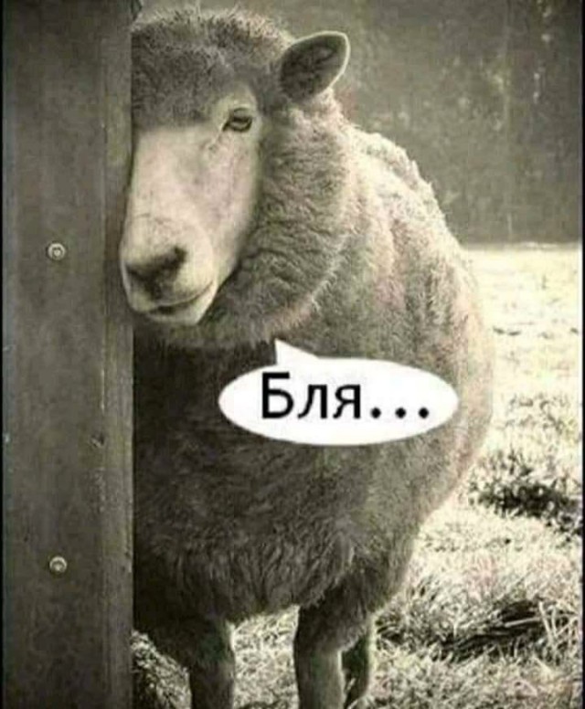 Татарская пацанская песня.