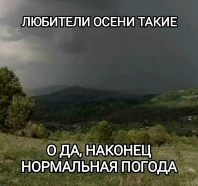 Пятничные бояны
