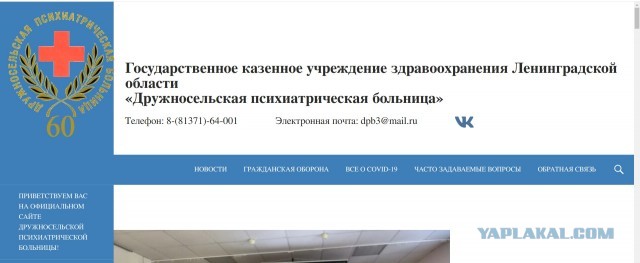 Волк бежал за дамой с собакой по двору в Дружной Горке (Ленобласть)