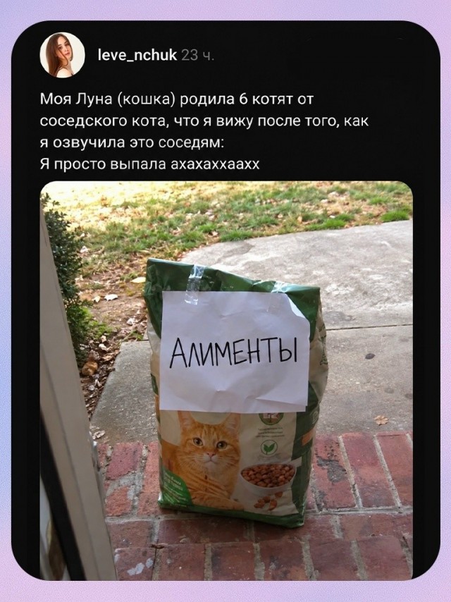 Алименты