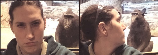 Самые известные фотобомбы уходящего года