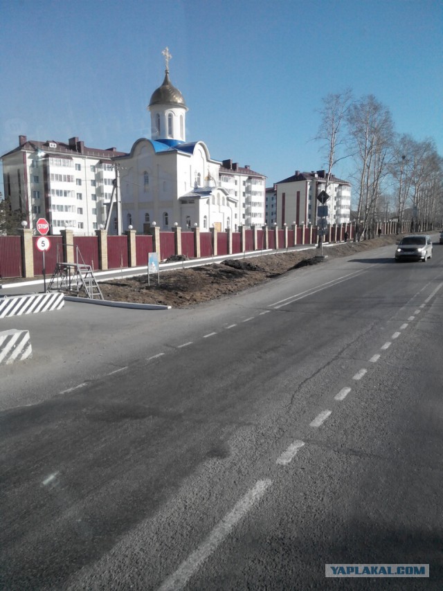 Озеленение Владивостока.
