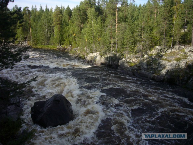 Карелия. р Охта