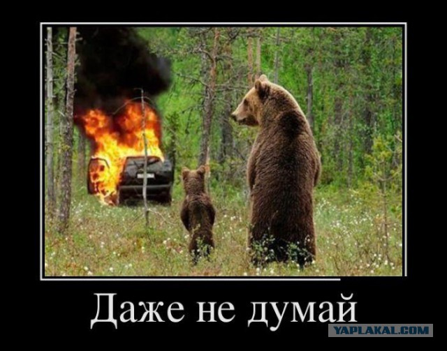 Подборка прикольных фото на начало мая