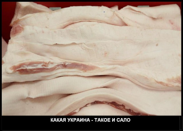 В Украине подорожало сало