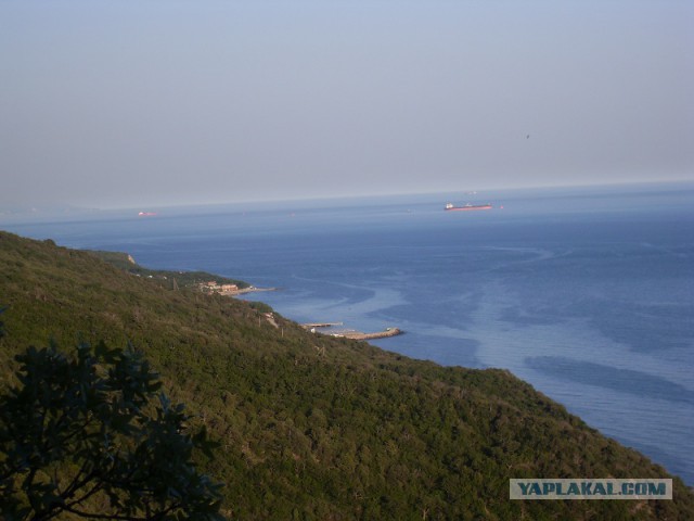 Поездка с собакой, на море, дикарями (Краснодар)