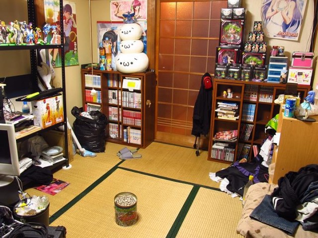 Комнаты японцев (лето 2011)