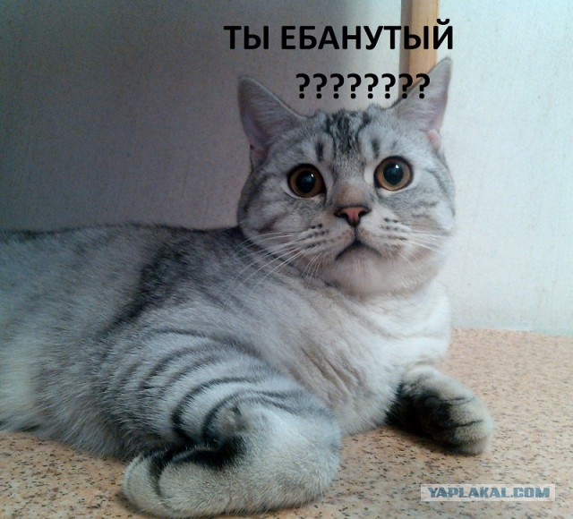 Как украсить пол