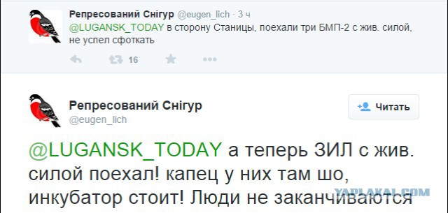 Перемирие кончилось, едва начавшись.