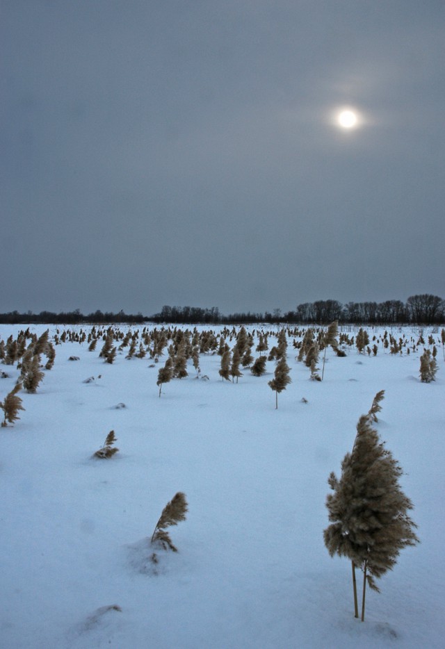 Деревенская Америка