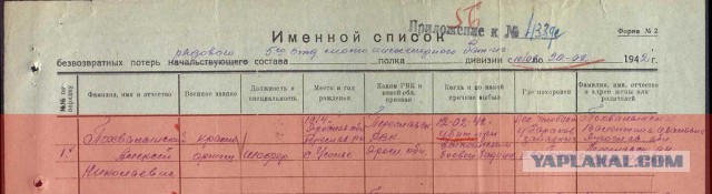 Синявинские высоты 1941-1944