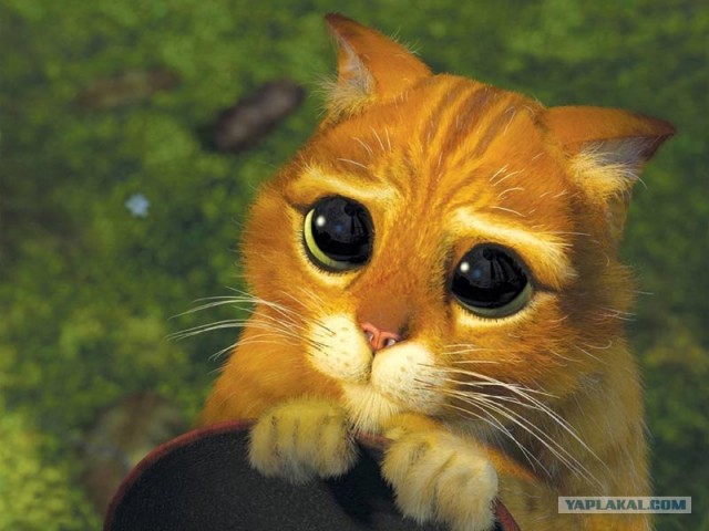 Новый способ пикапа