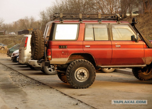 Нордическая буханка Volvo Laplander C303 (TGB 11)