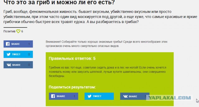 Жизнь как она есть...