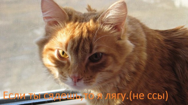 Я скоро сяду