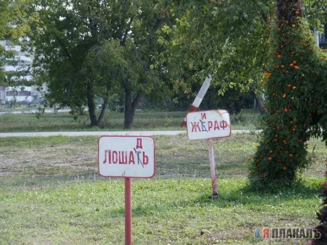 ВЫВЕСКИ, ТАБЛИЧКИ. Смешные и прикольные