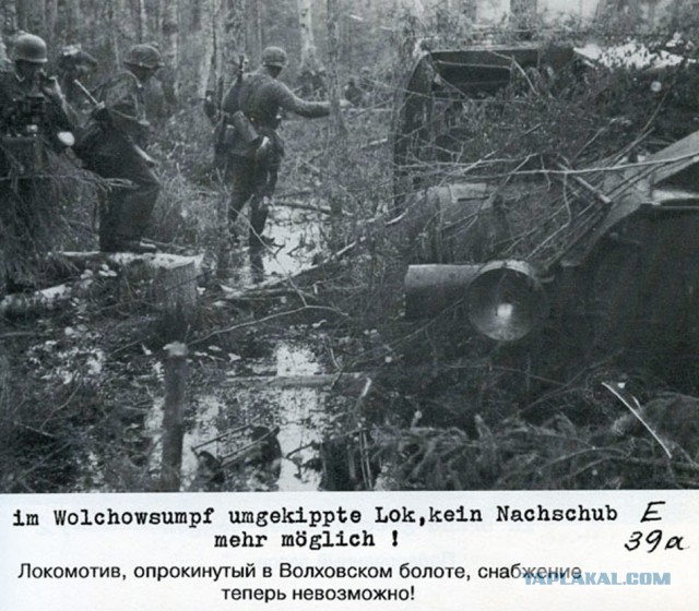 Фото с мест Волховской битвы (Вермахт)