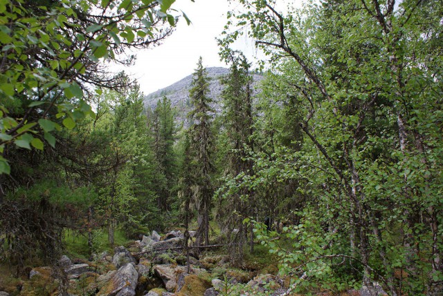 Деревенская Америка - 2
