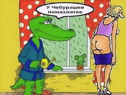 Фотожаба: Коленки бы прикрыла!