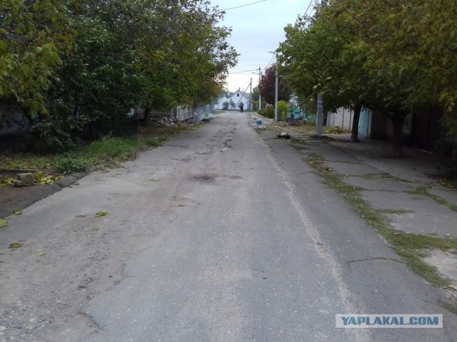 Дураки и зависть