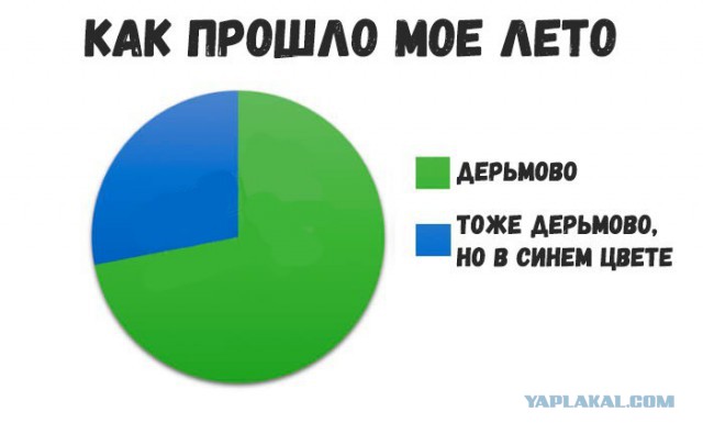 Журнал школьный деградант